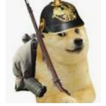 Doge swat group