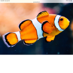 Fishno