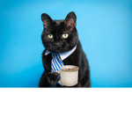 CoffeCat69
