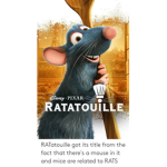 The Best Rat Movie