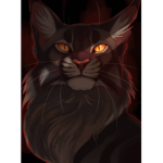 La time cat (c'est cool)