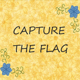 Capture The Flag [READ DESCRIPTION]