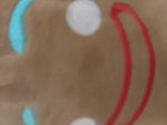 The roblox fans group of roblox