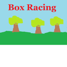 Box Racing
