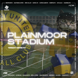 Plainmoor Stadium