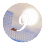 Secret 9