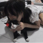 catseverywhere