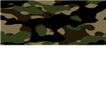 Military.assualt.forces