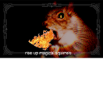 The Magical Squirrels