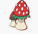 Strawberry mushroom farm