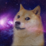 Spatial Doges