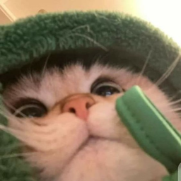 ✄