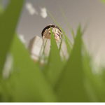 Content_Deleted  (17136670)