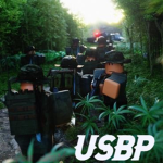 Bordеr Patrol