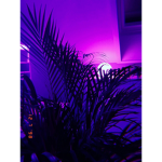 Vibe moods