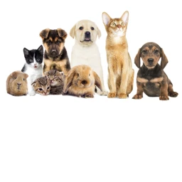 pet friends icon