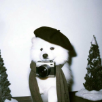 pupp1e$