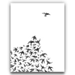 <•: A Bird’s View:•>