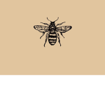 Team bee & butterfly