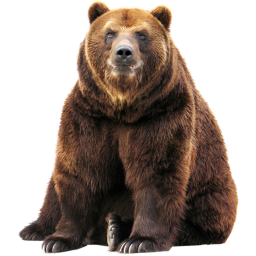 A Bear Simulator