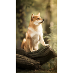 Doge Hotel and Spa Resorts!