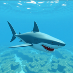 DB_PINKSHARK