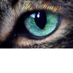 [Ŧ] The Strays [Ŧ]