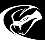 Viper Entertainment