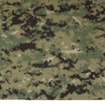 German National Military