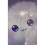 Fluffy Pom pom