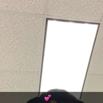 ii_xq14