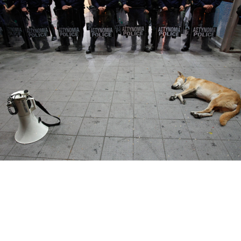 What if the USA Army won against the Doges