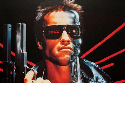 The Terminator Simulator icon