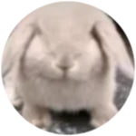 You've Won [1/2 SEASONAL]