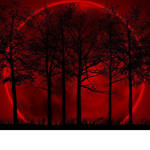 .+DarkNight Squad Gaming+.