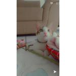 Steffany :D