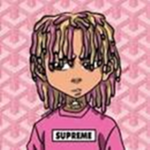 Lil Pump's Fan Group