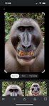 Monkey empire boyyyy