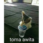 El Team Awita ###