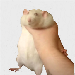 Pls Slob
