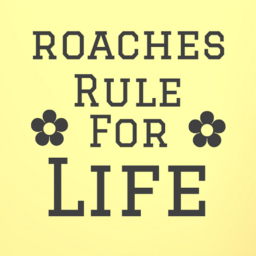 Roach hangout!