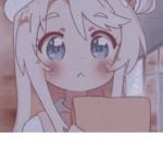 Coco_rbx