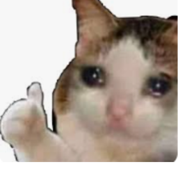 String gim