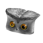 Snowy Owl