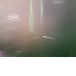 Gold ring of the original rain