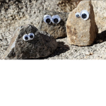 WE LOVE OUR PET ROCKS