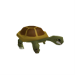 Turtle Fan Club!