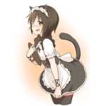 Hotcatgirls