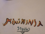 Mini ninja studios