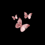 Plasticized